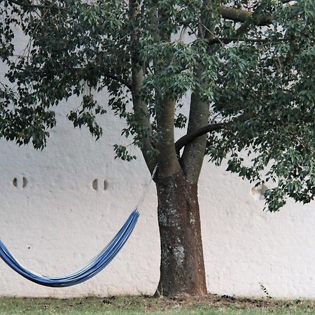 B&B Masseria Santanna Impalata Ngoại thất bức ảnh