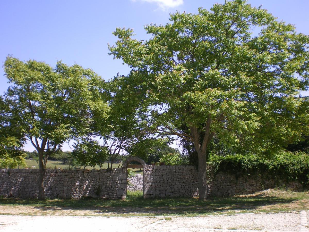 B&B Masseria Santanna Impalata Ngoại thất bức ảnh